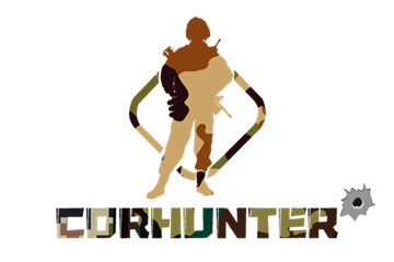 Wuhan  Corhunter  Plagg  Co.,  Ltd